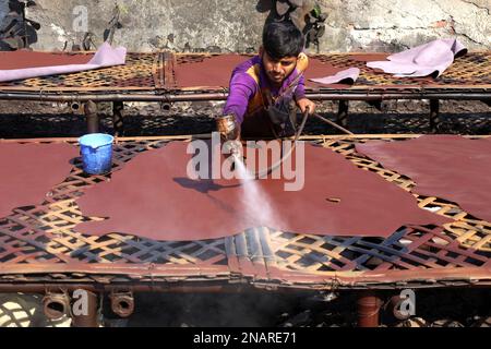 Dhaka, Dhaka, Bangladesh. 13th Feb, 2023. I lavoratori tinganno la pelle e la asciugano al sole in una piccola fabbrica a Hemayetpur, Dhaka. Queste pelli lavorate vengono portate dalla fabbrica e tinte e inviate ai venditori. Diversi tipi di prodotti in pelle tra cui scarpe, borse, portafogli sono realizzati con queste pelli. (Credit Image: © Syed Mahabubul Kader/ZUMA Press Wire) SOLO PER USO EDITORIALE! Non per USO commerciale! Foto Stock