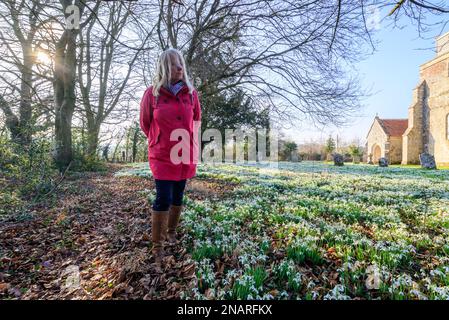 Damerham, Fordingbridge, Hampshire, Inghilterra, Regno Unito, 13th febbraio 2023: Le gocce di neve (Galanthus nivalis) tappezzano il sagrato della chiesa di San Giorgio in primavera con cielo blu e sole caldo. Credit: Paul Biggins/Alamy Live News Foto Stock