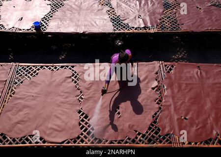 Dhaka, Dhaka, Bangladesh. 13th Feb, 2023. I lavoratori tinganno la pelle e la asciugano al sole in una piccola fabbrica a Hemayetpur, Dhaka. Queste pelli lavorate vengono portate dalla fabbrica e tinte e inviate ai venditori. Diversi tipi di prodotti in pelle tra cui scarpe, borse, portafogli sono realizzati con queste pelli. (Credit Image: © Syed Mahabubul Kader/ZUMA Press Wire) SOLO PER USO EDITORIALE! Non per USO commerciale! Foto Stock