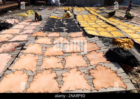 Dhaka, Dhaka, Bangladesh. 13th Feb, 2023. I lavoratori tinganno la pelle e la asciugano al sole in una piccola fabbrica a Hemayetpur, Dhaka. Queste pelli lavorate vengono portate dalla fabbrica e tinte e inviate ai venditori. Diversi tipi di prodotti in pelle tra cui scarpe, borse, portafogli sono realizzati con queste pelli. (Credit Image: © Syed Mahabubul Kader/ZUMA Press Wire) SOLO PER USO EDITORIALE! Non per USO commerciale! Foto Stock