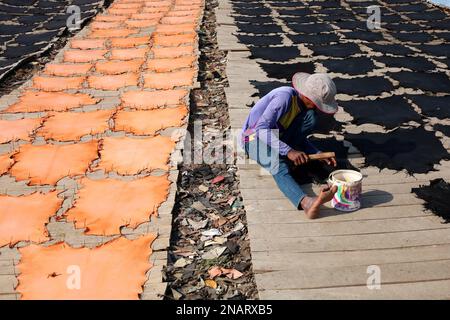 Dhaka, Dhaka, Bangladesh. 13th Feb, 2023. I lavoratori tinganno la pelle e la asciugano al sole in una piccola fabbrica a Hemayetpur, Dhaka. Queste pelli lavorate vengono portate dalla fabbrica e tinte e inviate ai venditori. Diversi tipi di prodotti in pelle tra cui scarpe, borse, portafogli sono realizzati con queste pelli. (Credit Image: © Syed Mahabubul Kader/ZUMA Press Wire) SOLO PER USO EDITORIALE! Non per USO commerciale! Foto Stock