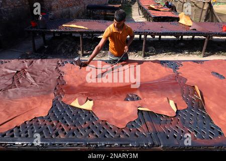 Dhaka, Dhaka, Bangladesh. 13th Feb, 2023. I lavoratori tinganno la pelle e la asciugano al sole in una piccola fabbrica a Hemayetpur, Dhaka. Queste pelli lavorate vengono portate dalla fabbrica e tinte e inviate ai venditori. Diversi tipi di prodotti in pelle tra cui scarpe, borse, portafogli sono realizzati con queste pelli. (Credit Image: © Syed Mahabubul Kader/ZUMA Press Wire) SOLO PER USO EDITORIALE! Non per USO commerciale! Foto Stock