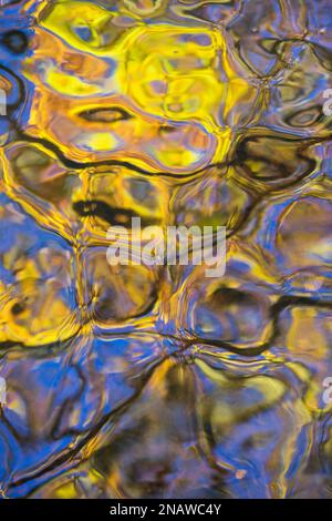 Autunno fogliame colore riflesso in acqua, Bolam Lake Country Park, Northumberland, Inghilterra Foto Stock