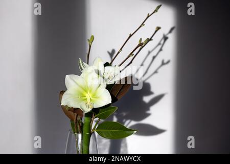 Elegante bouquet primaverile con rami e foglie di magnolia e amaryllis in un vaso di vetro sul tavolo. Fiori primaverili, biglietto d'auguri per m Foto Stock