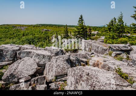 Escursioni a piedi nella Bear Rocks Preserve, West Virginia USA, West Virginia Foto Stock