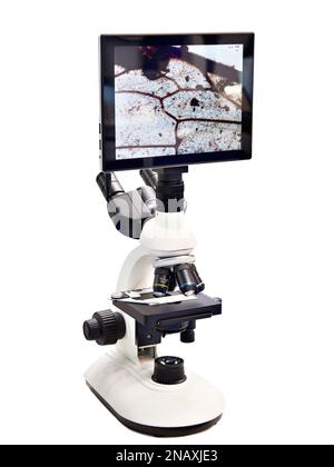 Stereomicroscopio per ricerca con monitor con sfondo bianco isolato Foto Stock