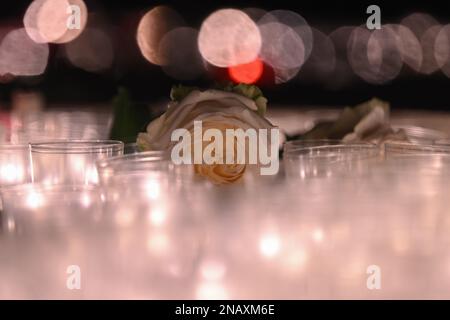Dresda, Germania. 13th Feb, 2023. Le rose bianche si trovano tra candele accese nel 78th° anniversario della distruzione di Dresda nella seconda guerra mondiale sul Neumarkt di fronte alla Frauenkirche. Il 13 febbraio, la capitale dello stato Dresden commemora la distruzione della città durante la seconda guerra mondiale 78 anni fa. Il 13 e 14 febbraio 1945, i bombardieri alleati riducevano il centro della città sull'Elba a macerie. Fino a 25.000 persone hanno perso la vita. Credit: Robert Michael/dpa/Alamy Live News Foto Stock