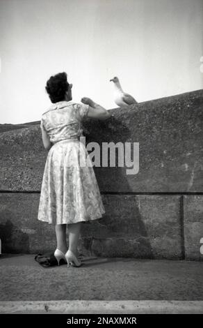 1950s, storico, una signora in un abito floreale e scarpe con tacco, guardando un piccione che è seduto su un muro di cemento, Bridlington, East Yorkshire, Inghilterra, Regno Unito. Foto Stock