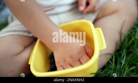 Bambino che raccoglie mirtilli all'esterno da una ciotola di plastica seduta all'erba del parco. I bambini mangiano un picnic con la famiglia durante le attività del fine settimana Foto Stock