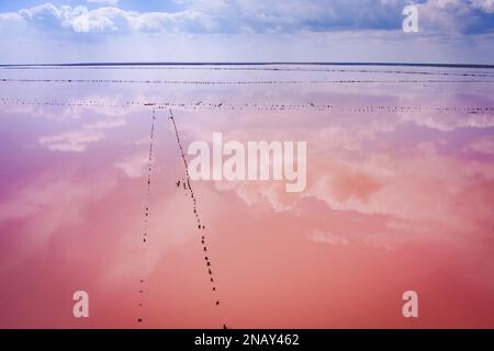 Ucraina. Lago rosa salato. Drone. Vista aerea. Incredibile colore dell'acqua. Produzione di sale abbandonata Foto Stock
