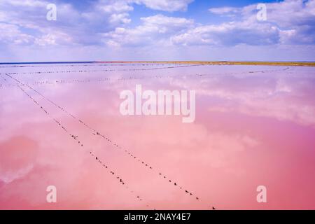 Ucraina. Lago rosa salato. Drone. Vista aerea. Incredibile colore dell'acqua. Produzione di sale abbandonata Foto Stock