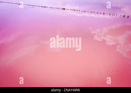 Ucraina. Lago rosa salato. Drone. Vista aerea. Incredibile colore dell'acqua. Produzione di sale abbandonata Foto Stock