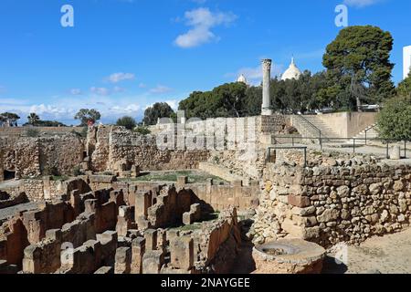 Quartiere Annibale delle antiche rovine a Cartagine in Tunisia Foto Stock