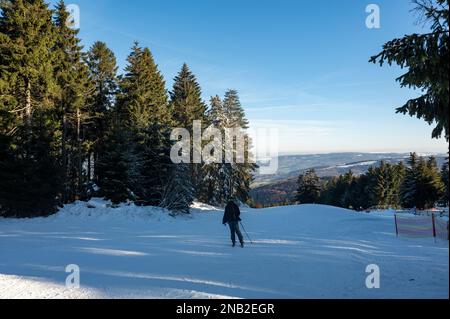 Pista da sci sul Wasserkuppe con sciatori, con cielo blu e alberi Foto Stock
