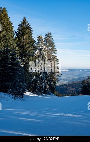Pista da sci sul Wasserkuppe senza persone, con un cielo blu e alberi Foto Stock