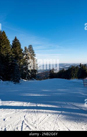Pista da sci sul Wasserkuppe senza persone, con un cielo blu e alberi Foto Stock