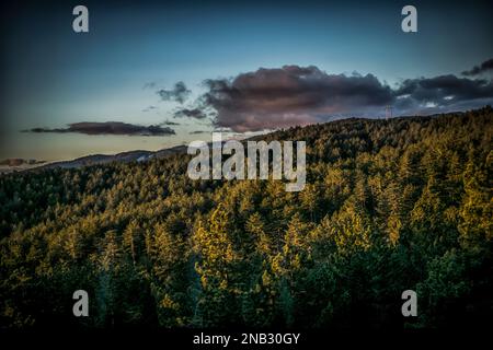 Mattina presto sul monte Tara con boschi visibili e bel cielo Foto Stock