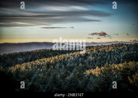 Mattina presto sul monte Tara con boschi visibili e bel cielo Foto Stock