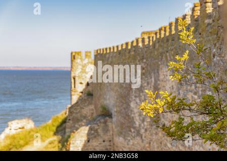 Le mura della fortezza di Akkerman a Bilhorod-Dnistrovskyi in Odesa Oblast, nel sud-ovest dell'Ucraina Foto Stock