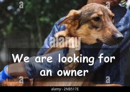 Volontario femminile con il cane senza casa al riparo degli animali all'aperto Foto Stock