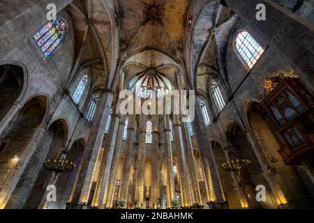 L'interno gotico della Basilica di Santa Maria del Mar nel quartiere Ribera vicino al quartiere Gotico di Barcellona, Spagna. Foto Stock