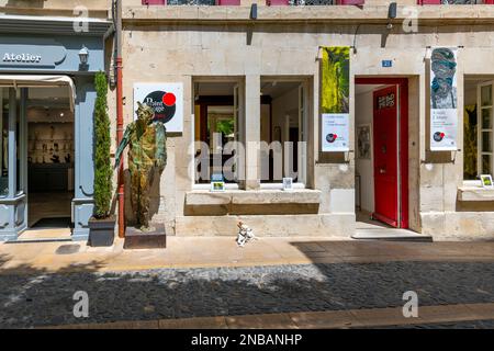 Un piccolo cane Chihuahua siede al sole fuori di un negozio di boutique d'arte nella città vecchia medievale di Saint-Remy-de-Provence, Francia. Foto Stock