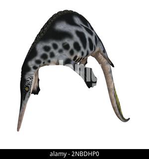 Hupehsuchus dinosauro isolato 3D rendering Foto Stock