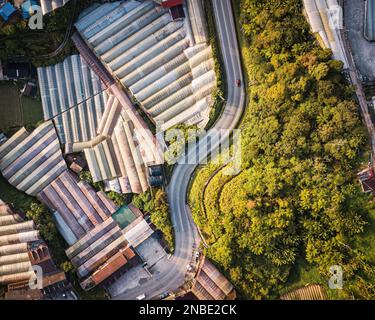 Vista aerea agricola del campo di produzione di ortaggi e serra accanto alle strade curvilinee. Foto Stock