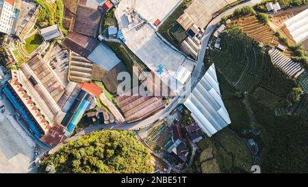 Vista aerea agricola del campo di produzione di ortaggi e serra durante l'alba. Foto Stock