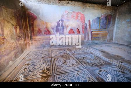 Affreschi elaborati, ricchi e raffinati e mosaici, piastrelle in una grande sala della Casa de Larario di Achille. Al Parco Archeologico di Pompei vicino a Napoli Foto Stock