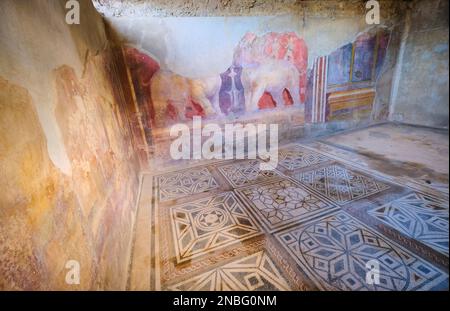 Affreschi elaborati, ricchi e raffinati e mosaici, piastrelle in una grande sala della Casa de Larario di Achille. Al Parco Archeologico di Pompei vicino a Napoli Foto Stock