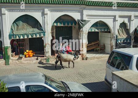 Ragazzi e una ragazza su un asino in Moulay Idriss. Meknes, Marocco, Nord Africa Foto Stock