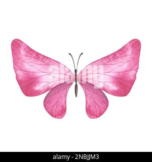 Farfalla magenta con ali dettagliate isolate su sfondo bianco. Acquerello disegnato a mano un'illusione realistica di insetti per banner di design, poster. Foto Stock