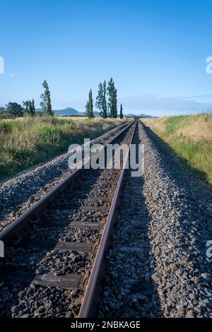 Binario ferroviario che attraversa terreni agricoli, Takapau, Central Hawkes Bay, North Island, Nuova Zelanda Foto Stock