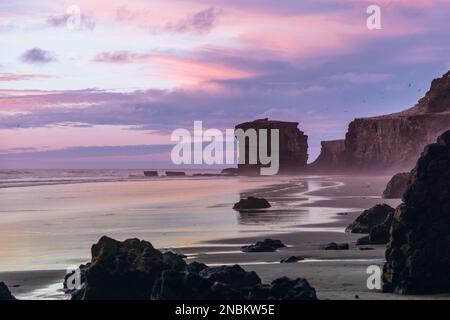 Il cielo sopra la spiaggia di Muriwai è una tela di sfumature rosa e viola, con le tenui nuvole che sorvolano le aspre formazioni rocciose e la vivace colonia di gannet. Foto Stock