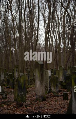 Tombe nel cimitero ebraico di Varsavia - uno dei più grandi cimiteri ebrei in Europa e nel mondo, Okopowa Street, Varsavia Polonia Foto Stock