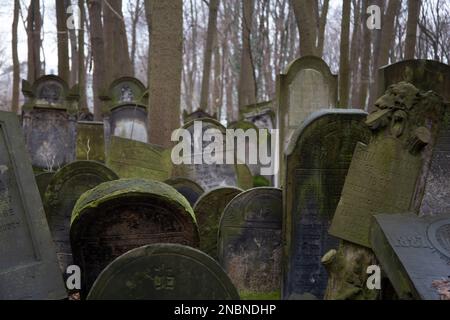 Tombe nel cimitero ebraico di Varsavia - uno dei più grandi cimiteri ebrei in Europa e nel mondo, Okopowa Street, Varsavia Polonia Foto Stock