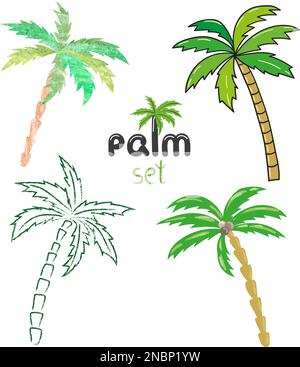 Alberi di palma set. Illustrazioni vettoriali isolate su bianco. Illustrazione Vettoriale