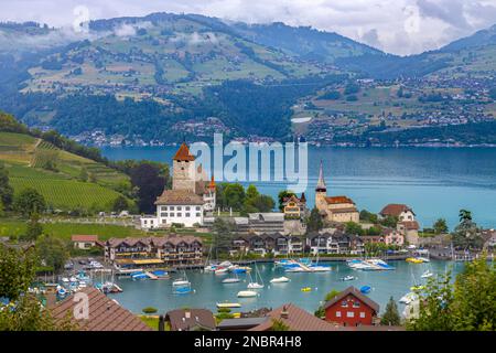Vista sul villaggio di Spiez sul lago Thun, nell'Oberland Bernese, Svizzera Foto Stock
