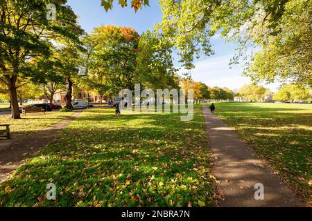 Kew, un quartiere vicino a Richmond, Londra, sede dei Royal Botanic Gardens Foto Stock