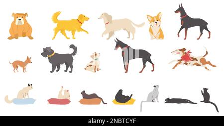 Animali domestici gatti vettoriali e cani isolati set su bianco Illustrazione Vettoriale