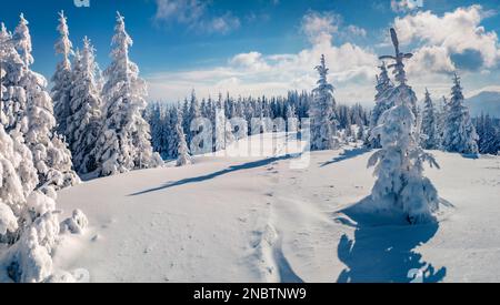 Fotografia di paesaggi. Trekking in montagna d'inverno. Incredibile scena mattutina delle montagne dei Carpazi. Bellezza della natura concetto sfondo. Foto Stock