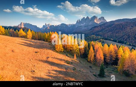 Colorata scena autunnale della valle di Fuchiade. Incantevole vista serale sulle Alpi dolomitiche, Italia, Europa. Vista dal drone volante di alberi di larice dorato fores Foto Stock