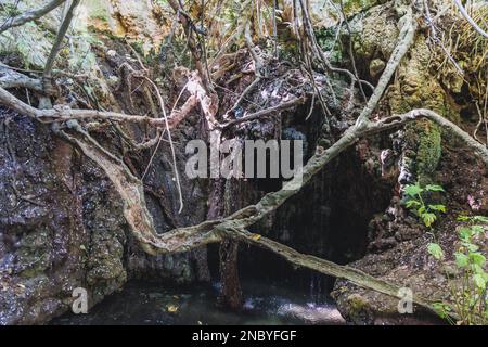 Grotta naturale delle terme di Afrodite Botanical Garden nella foresta nazionale di Akamas sulla penisola di Akamas, Paphos District a Cipro Foto Stock