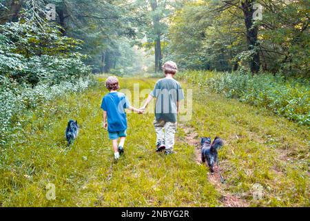 2 due giovani cugini del ragazzo camminano attraverso la foresta con i loro cani in un tardo pomeriggio d'estate con i più giovani che tengono la mano di quelli più vecchi Foto Stock