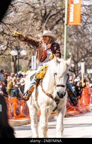 Una sfilata di bestiame longhorn del texas nel centro di San Antonio Foto Stock