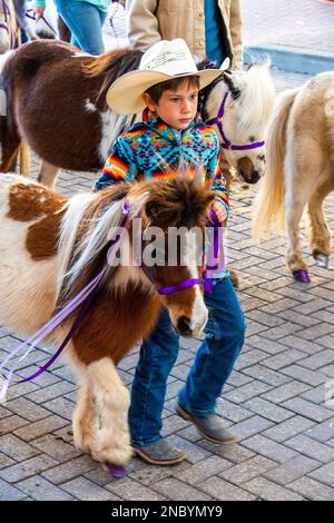 Una sfilata di bestiame longhorn del texas nel centro di San Antonio Foto Stock