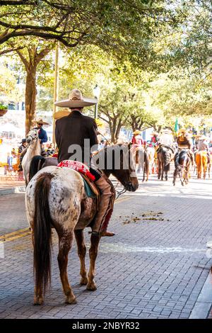 Una sfilata di bestiame longhorn del texas nel centro di San Antonio Foto Stock