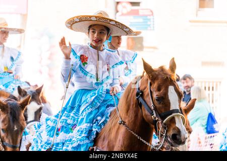 Una sfilata di bestiame longhorn del texas nel centro di San Antonio Foto Stock