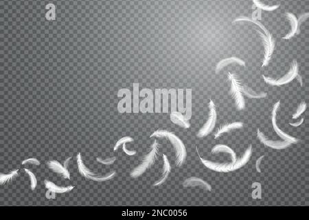 Piume galleggianti isolate, mosca d'oca. Piumaggio bianco caduta, 3D elementi senza peso, penne per galline, polli o cigno riempitivo cuscino, cigno soffice ala. Sfondo trasparente. Illustrazione realistica vettoriale Illustrazione Vettoriale